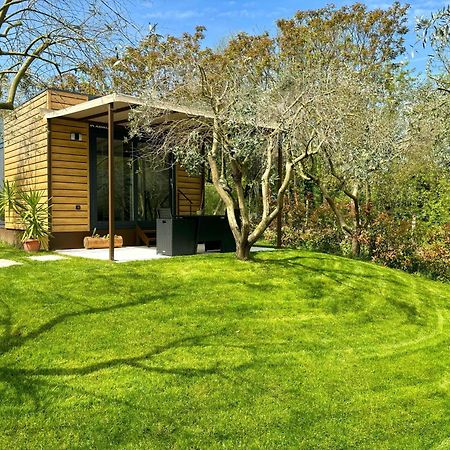 Seregnér Agricamping - Adults Only 18 - solo piazzole libere per camper, tende e roulotte Monzambano Esterno foto
