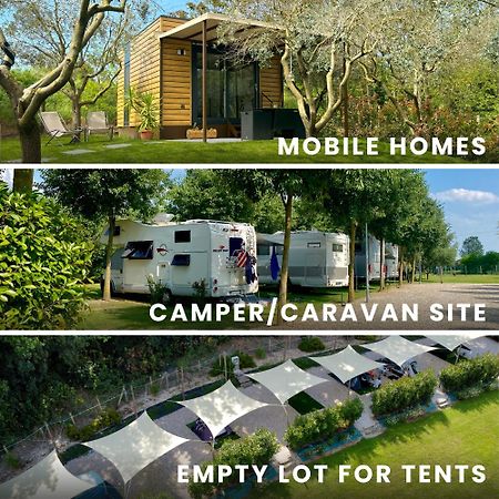 Seregnér Agricamping - Adults Only 18 - solo piazzole libere per camper, tende e roulotte Monzambano Esterno foto